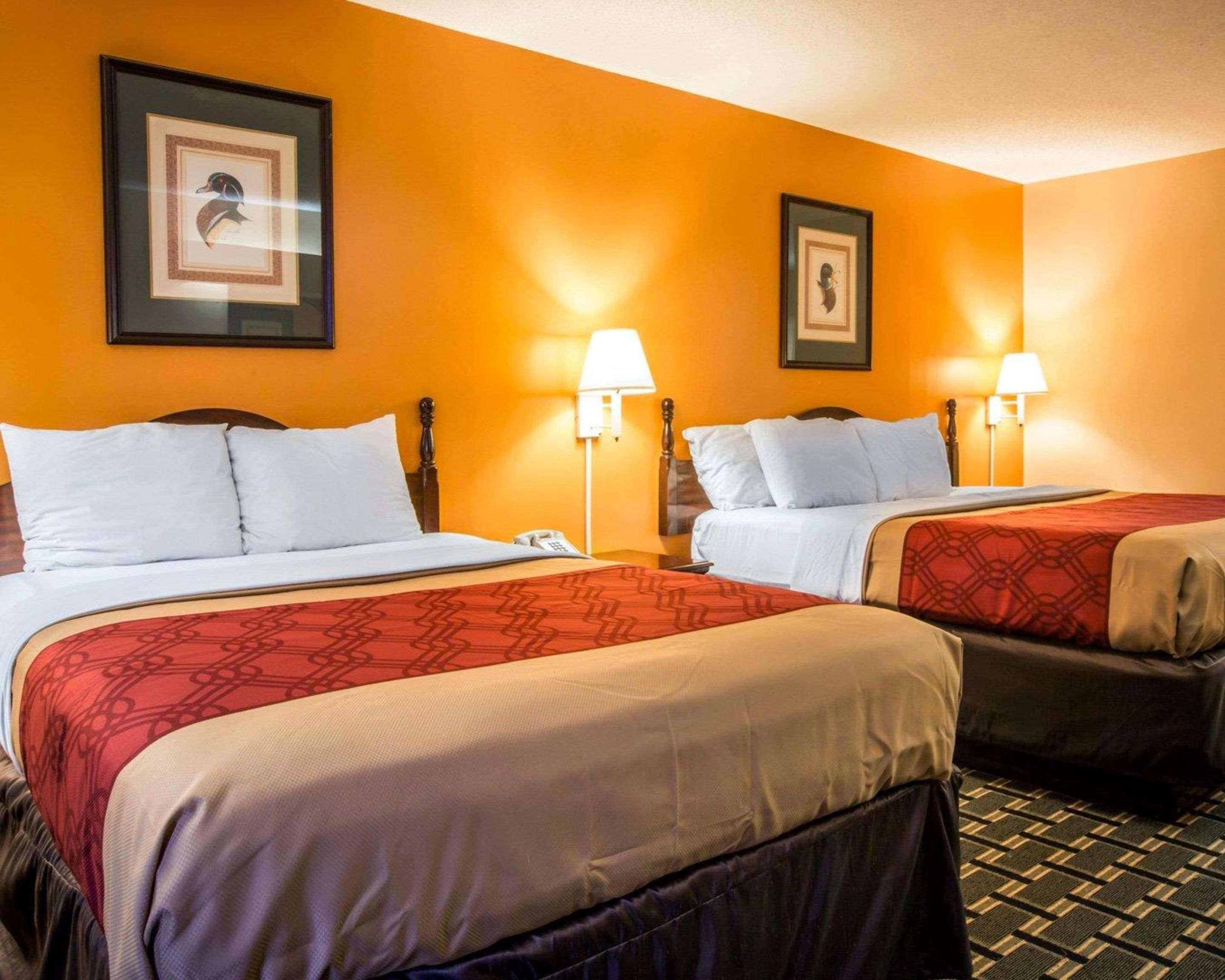 Lodge Econo